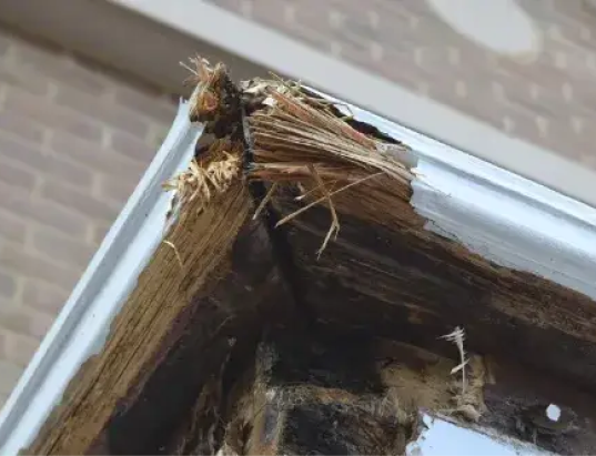 Exposed structural work behind a ceiling