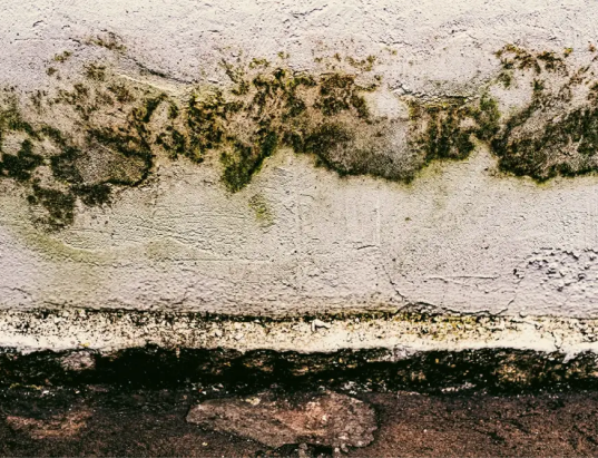 Exposed structural work behind a ceiling