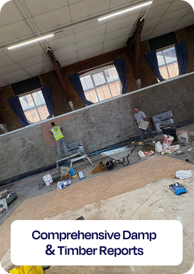 Comprehensive Damp & Timber Reports