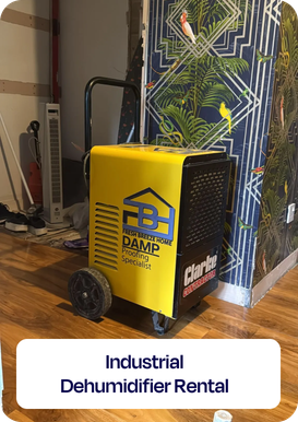 Industrial Dehumidifier Rental